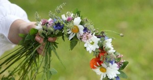 Мастер–класс «Полевые цветы»