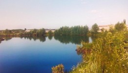 Час экологии «Природа нуждается в охране»