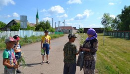 «Подари Ромашку»