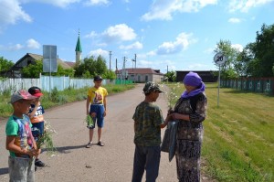 «Подари Ромашку»