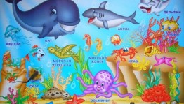 «Морские обитатели»викторина