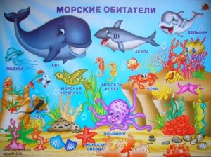 «Морские обитатели»викторина