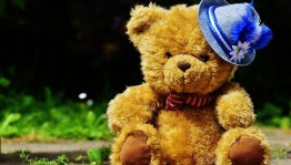 Игровая программа «Плюшевый мишка»