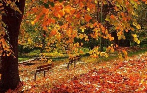 Тематический вечер «Вальс листопада»