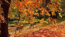 Тематический вечер «Вальс листопада»