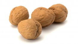 Познавательно–игровая программа«Ореховое раздолье»