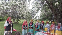 Мои года - мое богатство