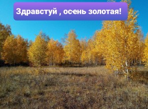 Викторина «Здравстуй, осҽнь золотая!»