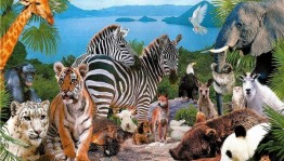 Познавательный час «Мир животного»