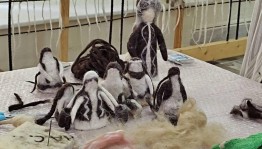 Мастер–класс «Изготовление башкирской национальной куклы из войлока»