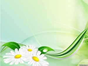 Книжная выставка «Зеленая аптека»