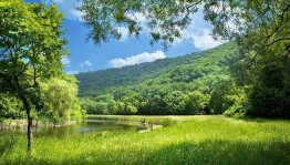 Игра «Знатоки родной природы»