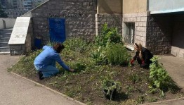 Экологический час «Мой друг – природа»