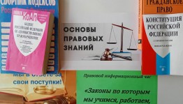 Правовой информационный час «Законы по которым учимся, работаем, живем»