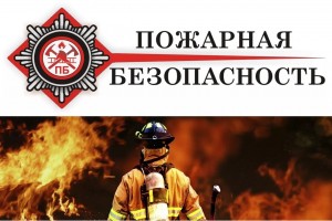 Познавательная программа «Что делать, если...?»