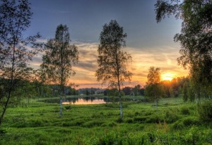 Зов природы