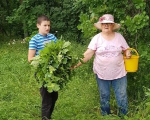 Тематическая программа «Целебная сила родной земли»