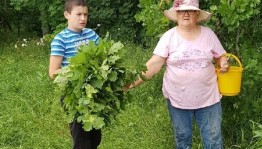 Тематическая программа «Целебная сила родной земли»