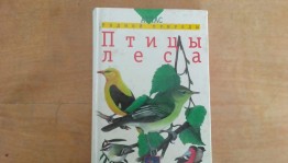 Познавательный час «Синичкин день»