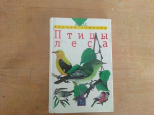 Познавательный час «Синичкин день»