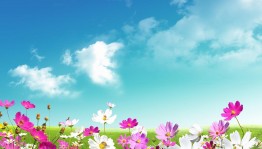 Вечер чествования матерей «Спасибо вам,мамы, за то что мы есть»