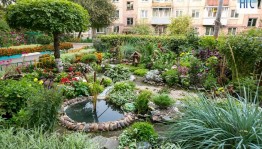 Фото акция «Самый красивый двор»