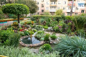 Фото акция «Самый красивый двор»