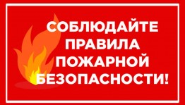Информационный час «Соблюдай правила пожарной безопасности!»