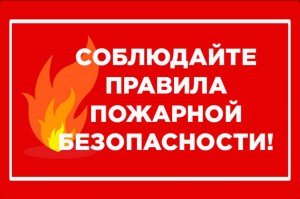 Информационный час «Соблюдай правила пожарной безопасности!»