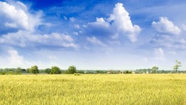 Искусство всегда с нами