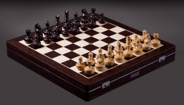 Шахматный турнир «Шах и мат»