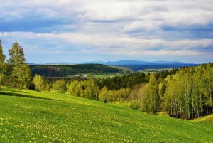 Рим Ахмедов – вдохновенный певец природы Башкортостана.