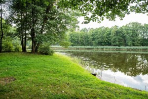 Экскурсия «Красивые места летом»