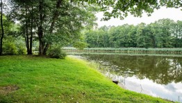 Экскурсия «Красивые места летом»