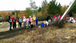 Осенние игры «Осень золотая»