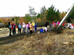 Осенние игры «Осень золотая»