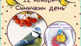 «Покормите птиц зимой»