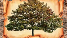 Программа «Истоки»