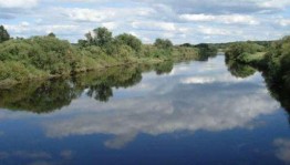 Викторина «Мой родной край»