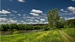 Творческая встреча«Родные березки»