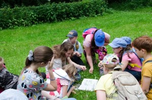 Программа для подростков «Квест – лето в разгаре»