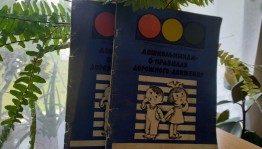 Познавательный час «Наш друг Светофор!»