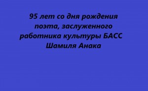 Инфочас «95 лет со дня рождения поэта»