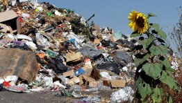 Игровая программа «Свалка по имени Земля»