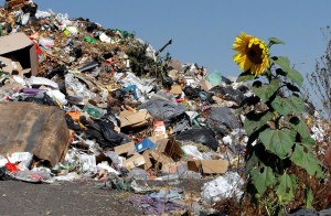 Игровая программа «Свалка по имени Земля»