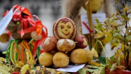 «Картофельный бум»