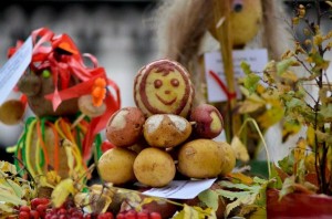 «Картофельный бум»