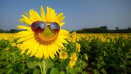 Вечер отдыха «Летнее настроение»