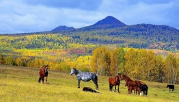 Концерт «Моя малая Родина»