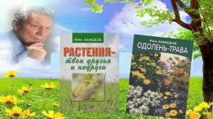 Тематическая встреча «Слово о Риме Ахмедове»